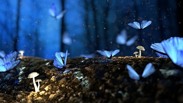 How the prehistoric butterflies existed before flowers? 4