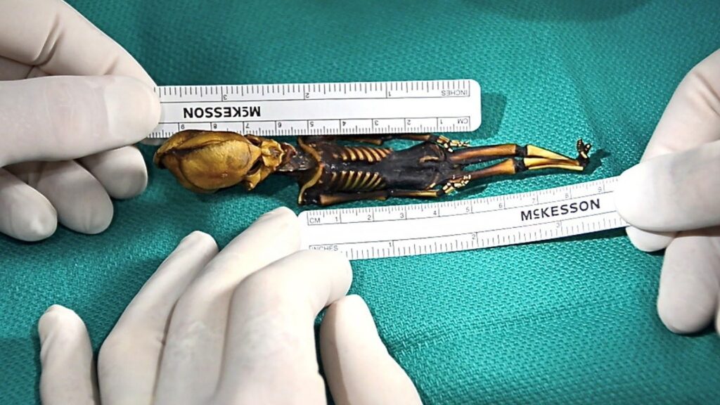 Lo scheletro di Atacama: i resti di Ata sono stati trovati nel 2003 a La Noria, un'antica città mineraria di nitrati. Erano avvolti in un panno bianco legato con un nastro viola, secondo The Guardian. © ArkNews