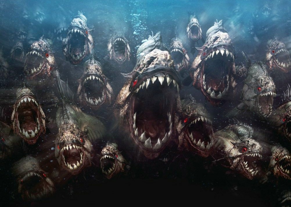 Griezelige verhalen over de dodelijkste piranha-aanvallen 1