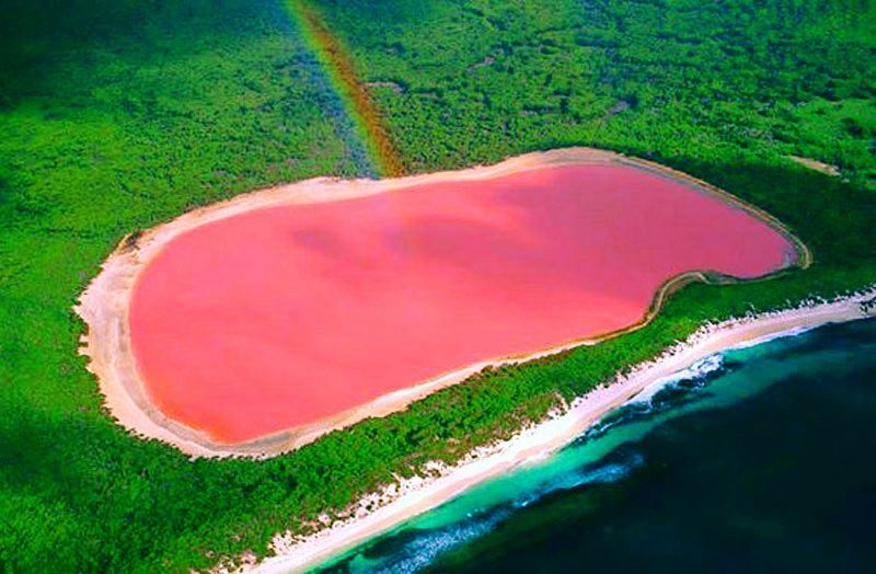 Розовое озеро Хиллиер — неповторимая красота Австралии 3