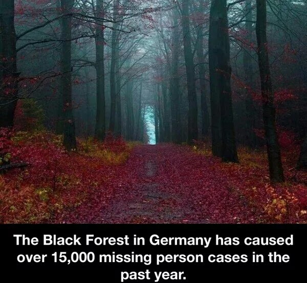 去年，德国的黑森林（Black Forest）造成15,000人失踪–事实或虚构！ 2
