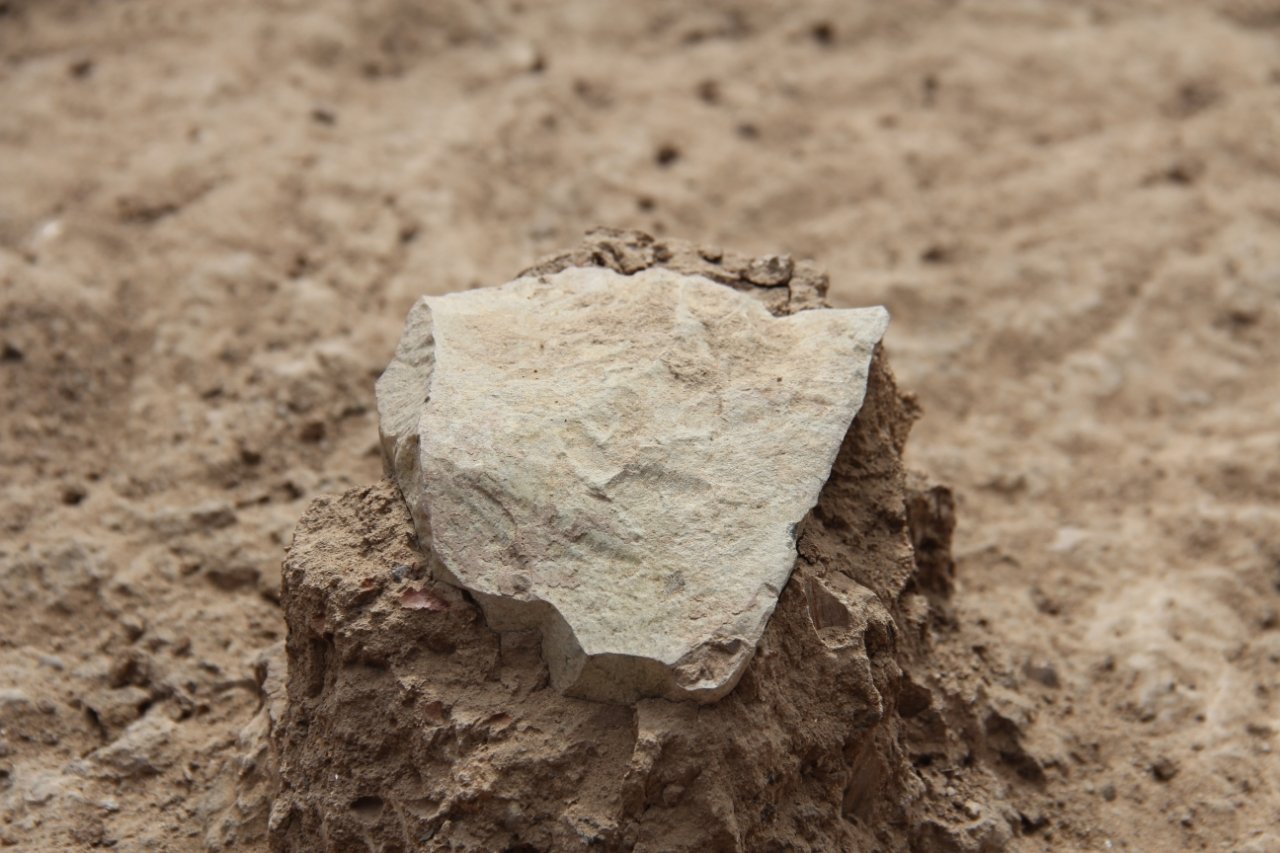 पहिल्या मानवापूर्वीची साधने - एक रहस्यमय पुरातत्व शोध 1