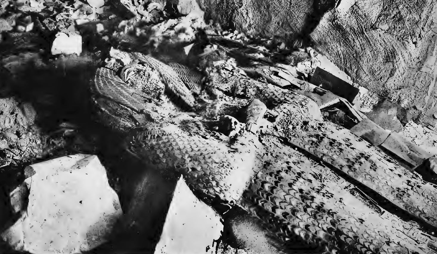 棺材被发现时：脸已经被抹去，落下的碎片已经把盖子弄裂了（Davis 1910）。
