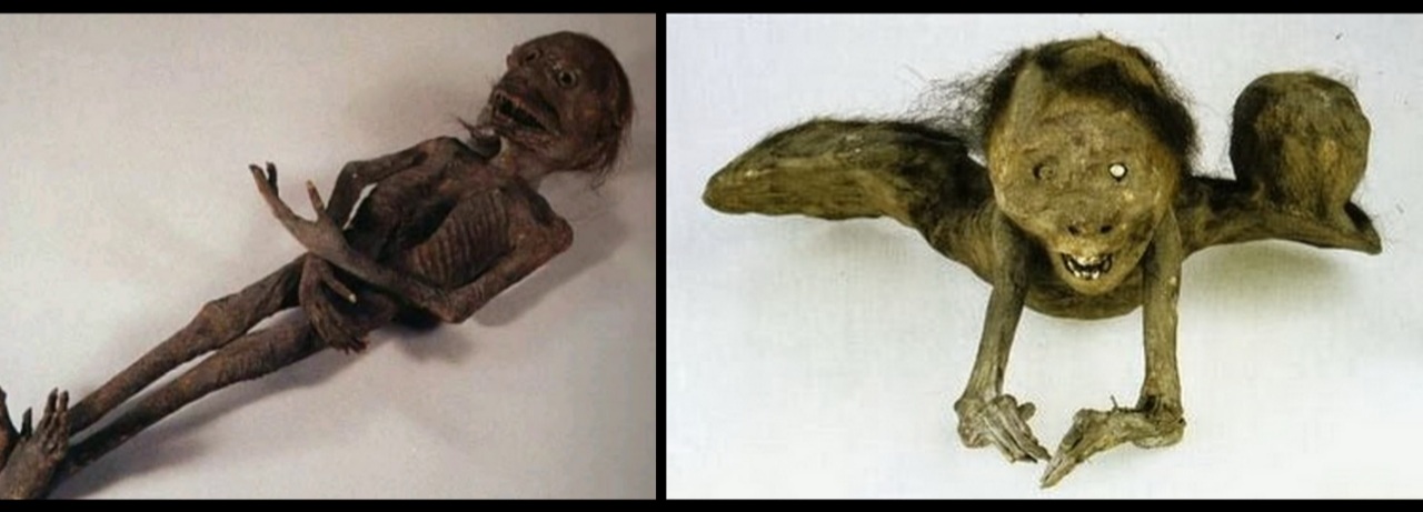Are mummified remains of unidentified creature proof of the mythological Kappa? 4