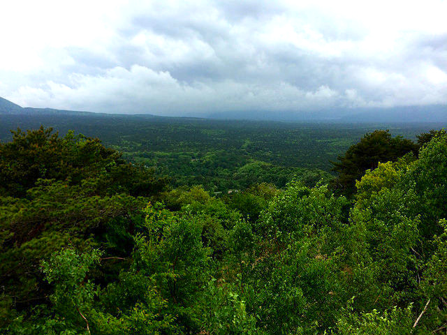 Aokigahara - neslávne známy „samovražedný les“ Japonska 4