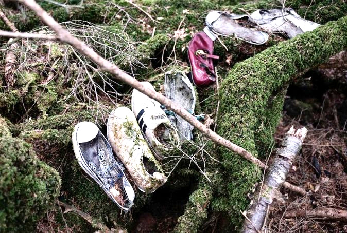 Aokigahara - Το περίφημο «δάσος αυτοκτονίας» της Ιαπωνίας 1
