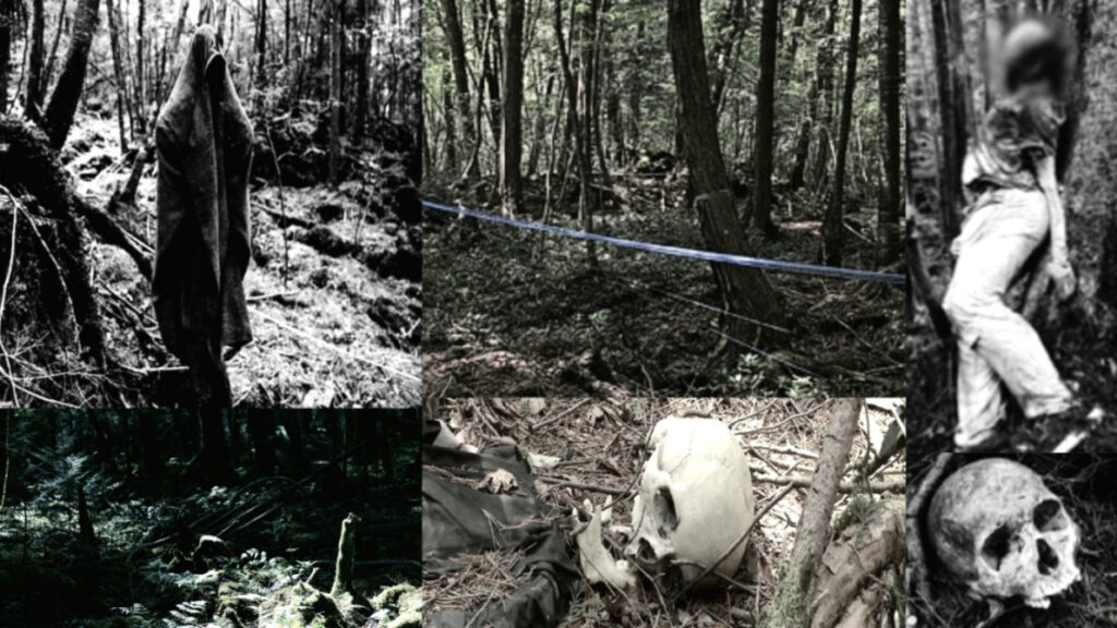 Aokigahara - nechvalně známý „sebevražedný les“ Japonska 1