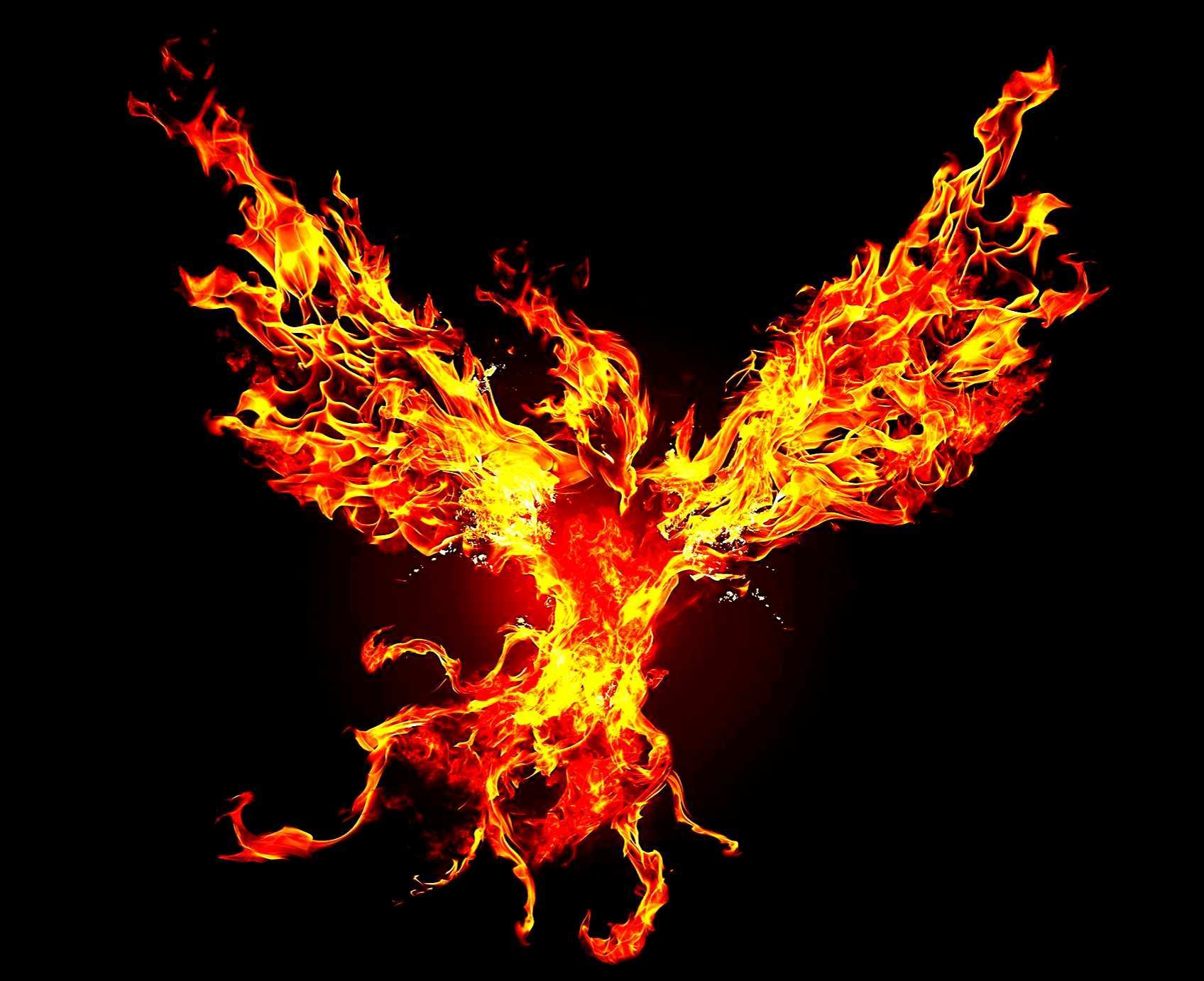 Phoenix oiseau d'immortalité immortel Phoenix