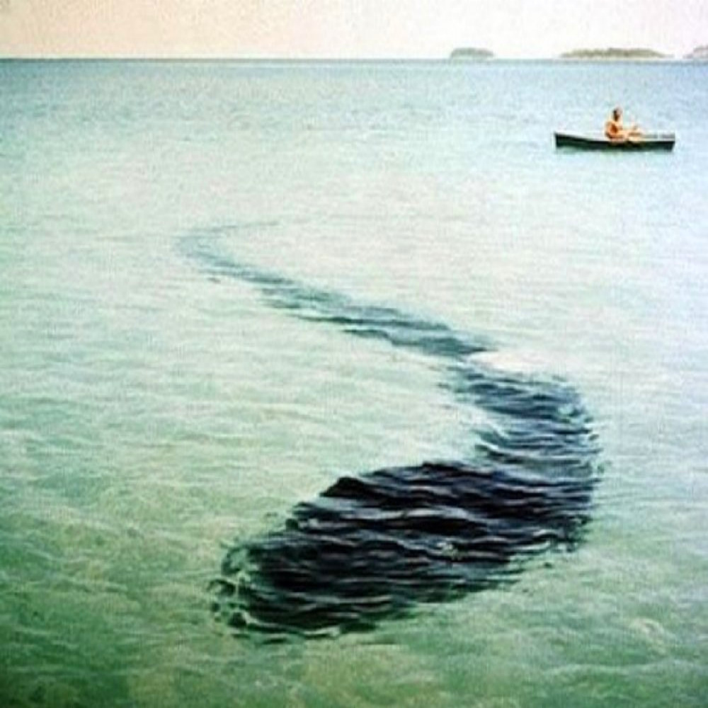 17 most mysterious photos in the world that cannot be explained 1