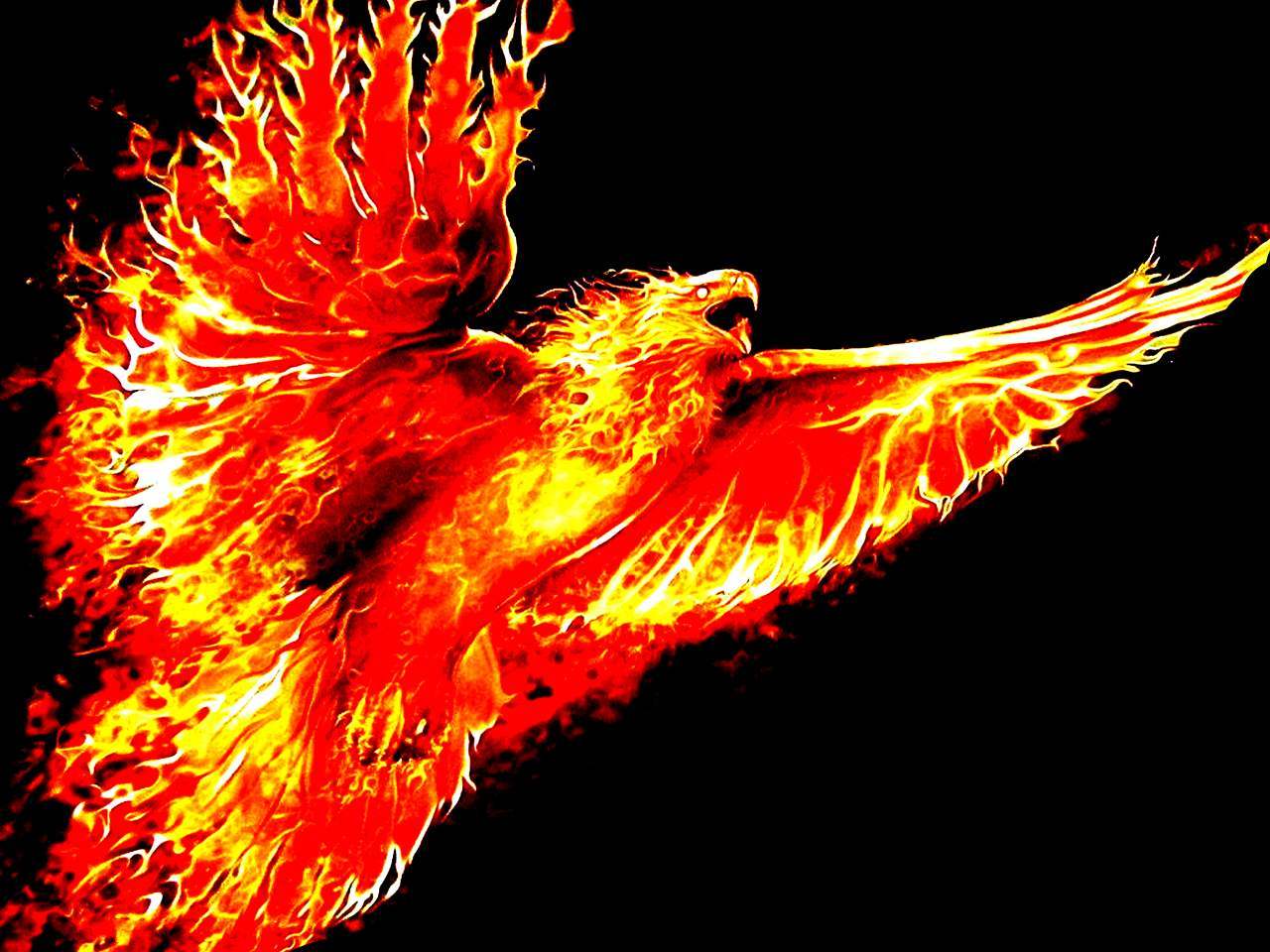 Immortal Phoenix: Реална ли е птицата Phoenix? Ако е така, все още ли е жив? 8