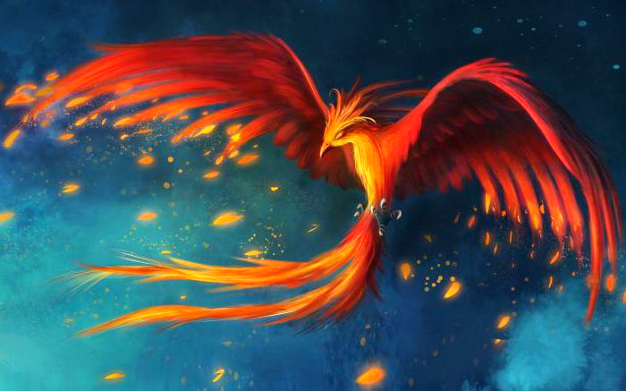 Immortal Phoenix: Is Phoenix Bird echt? Zo ja, leeft het nog? 7