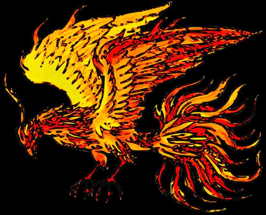 Immortal Phoenix: Реална ли е птицата Phoenix? Ако е така, все още ли е жив? 4
