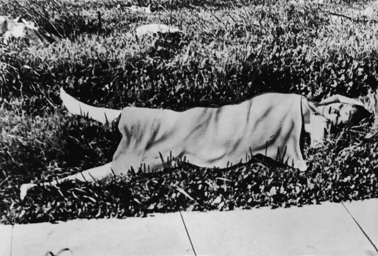 Black Dahlia: Pembunuhan Elizabeth Short tahun 1947 masih belum terpecahkan 5