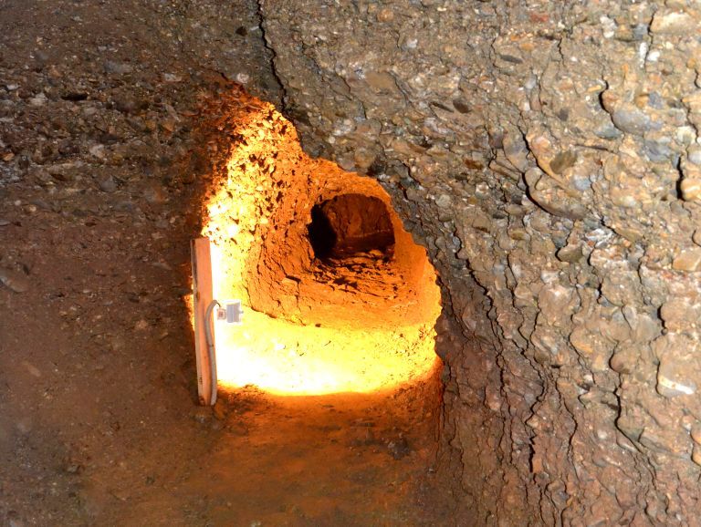Bosniya Piramidaları: təpələrin altında gizlənmiş 12,000 min illik inkişaf etmiş qədim tikililər? 8