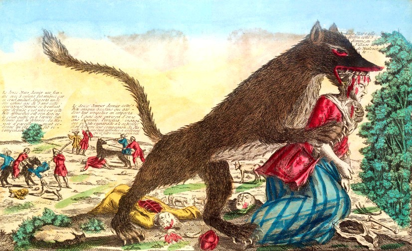 The mystery of the 18th-century killer "Beast of Gévaudan" 1