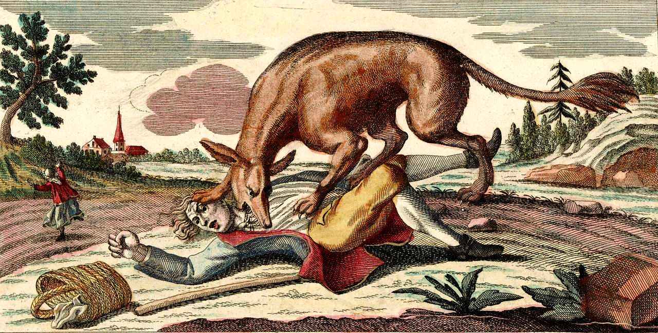 The mystery of the 18th-century killer "Beast of Gévaudan" 3