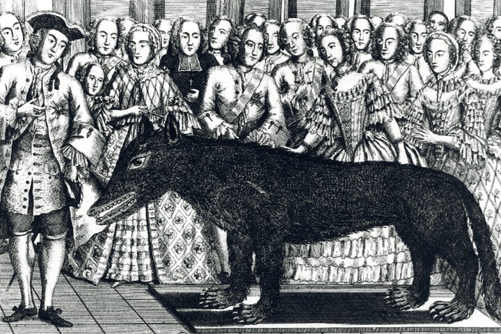 رمز و راز قاتل قرن 18 "جانور Gévaudan" 4