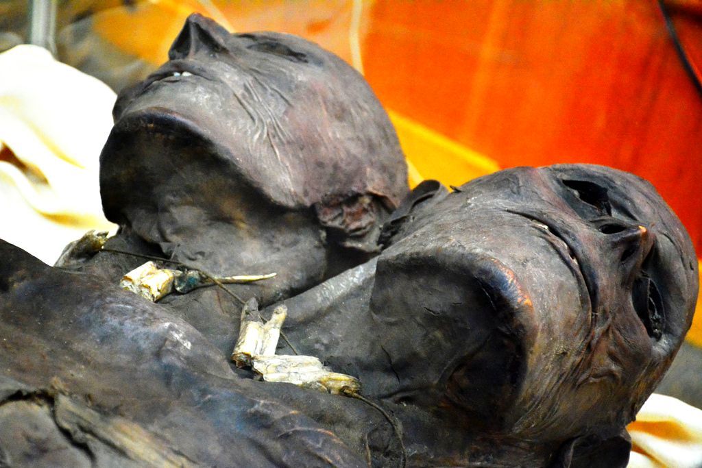 Kap Dwa: Este adevărată această mumie misterioasă a uriașului cu două capete? 2