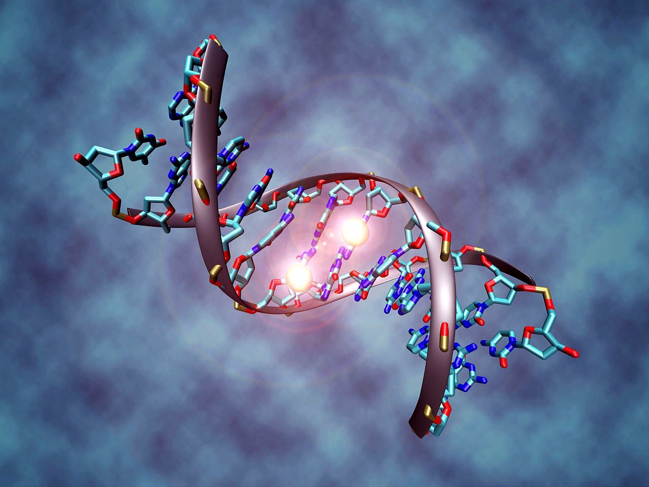 您从未听说过的有关DNA和基因的26个最奇怪的事实4