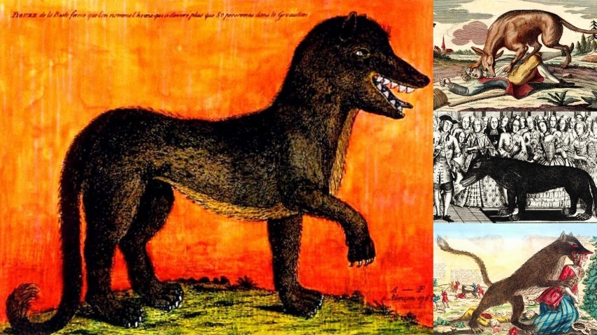 The mystery of the 18th-century killer "Beast of Gévaudan" 2