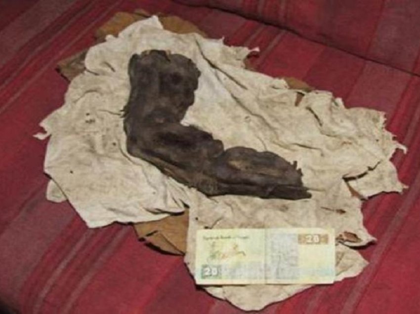 Mumifikovaný „obří prst“ Egypta: Opravdu se kdysi po Zemi toulali obři? 2