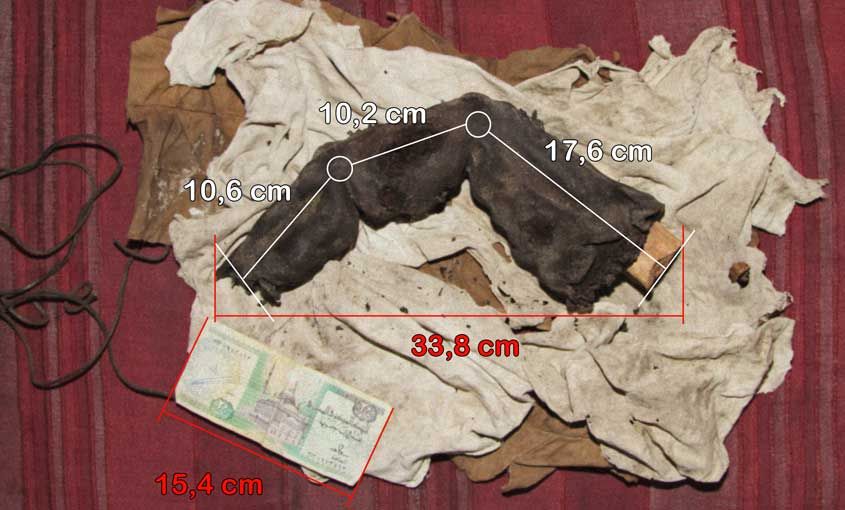 O 'dedo gigante' mumificado do Egito: os gigantes realmente vagaram pela Terra? 8