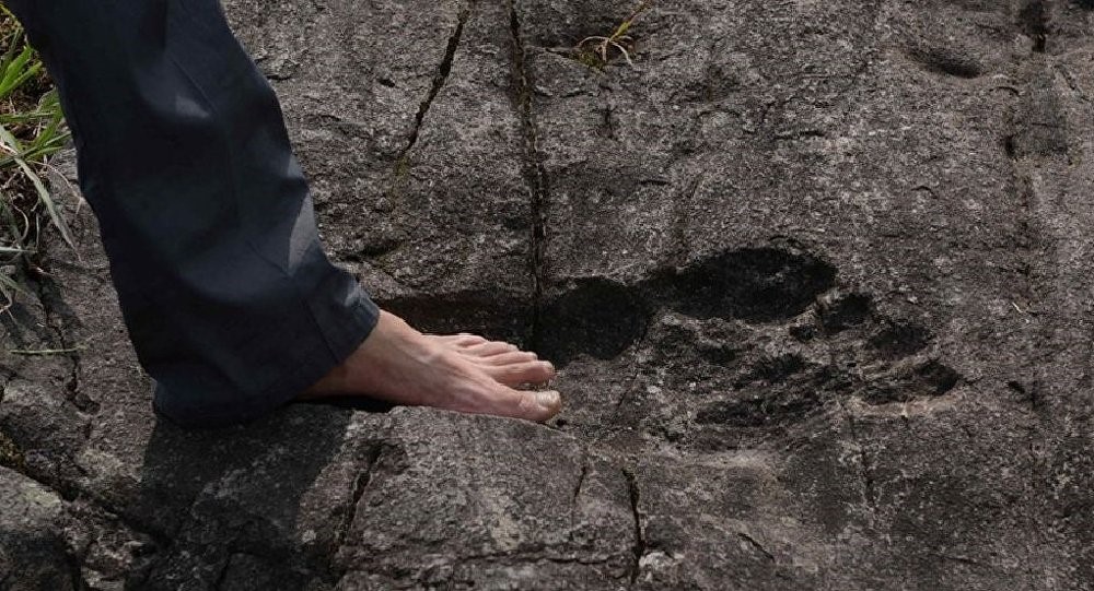 "انگشت غول پیکر" مومیایی شده مصر: آیا غول ها واقعاً زمانی در زمین پرسه می زدند؟ 9