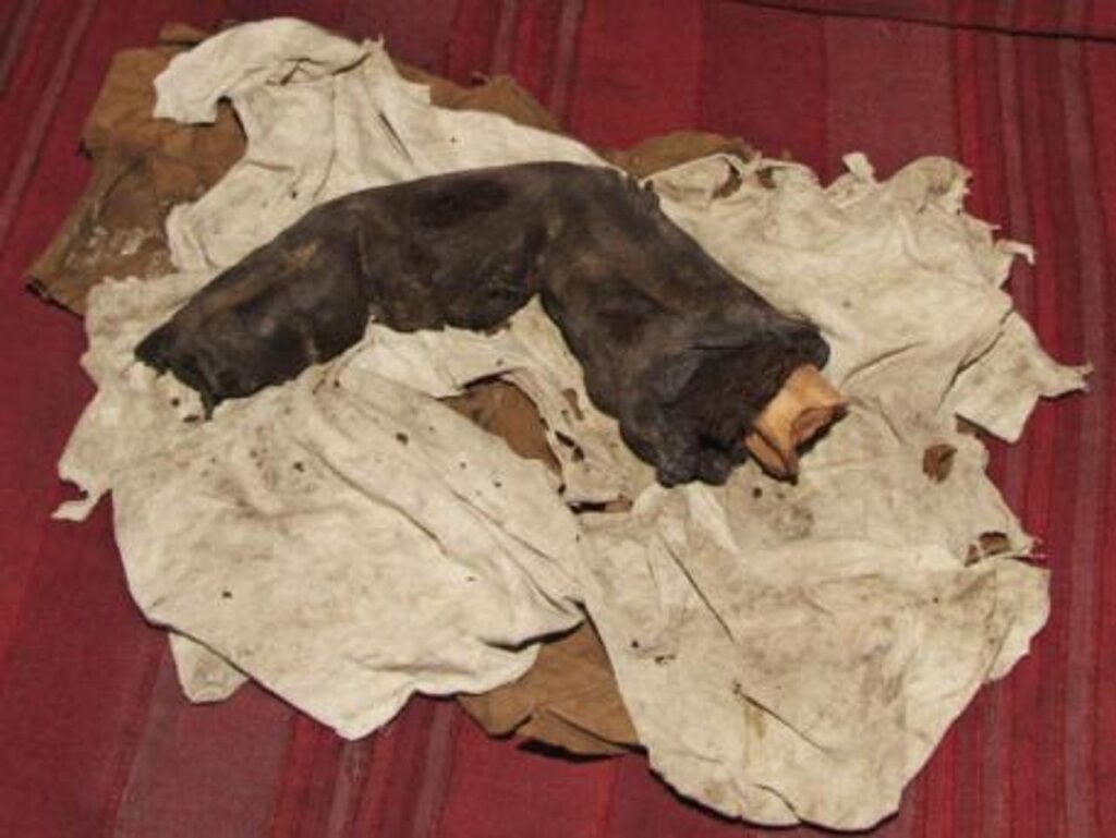 Mumifikuotas Egipto „milžiniškas pirštas“: ar tikrai milžinai kažkada klajojo po Žemę? 5