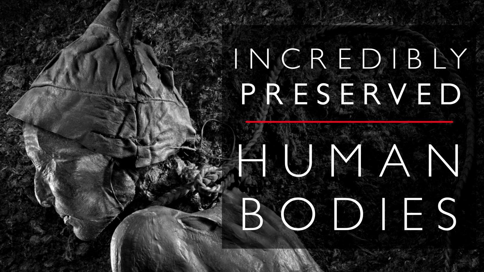 corpos humanos preservados