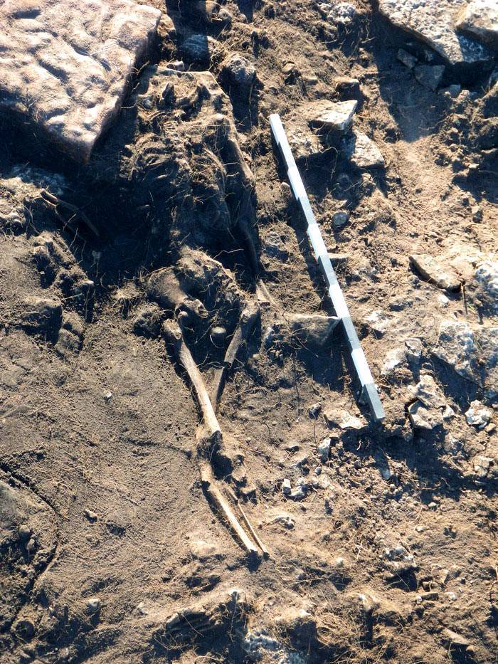 Sandby Borg-massakern: Vad är mysteriet bakom denna 1,600-åriga tragedi? 3