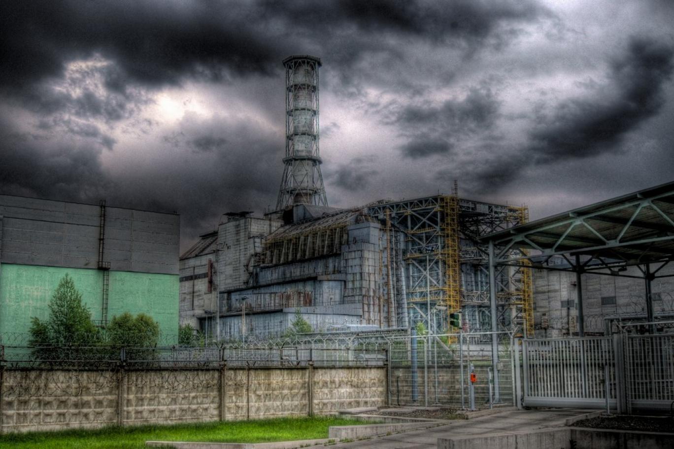 Champignons de Tchernobyl