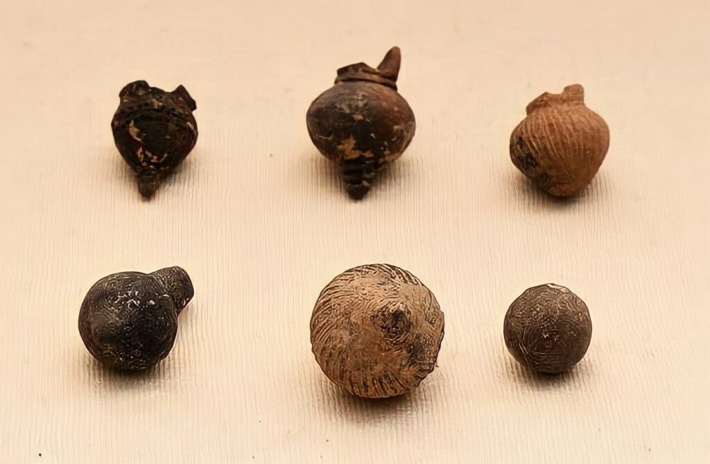 Verschidde Artefakte ze weisen op der Keeladi Ausstellung zu Wolrd Tamil Sangam zu Madurai. Datei | Fotokreditt: Den Hindu/R. Ashok