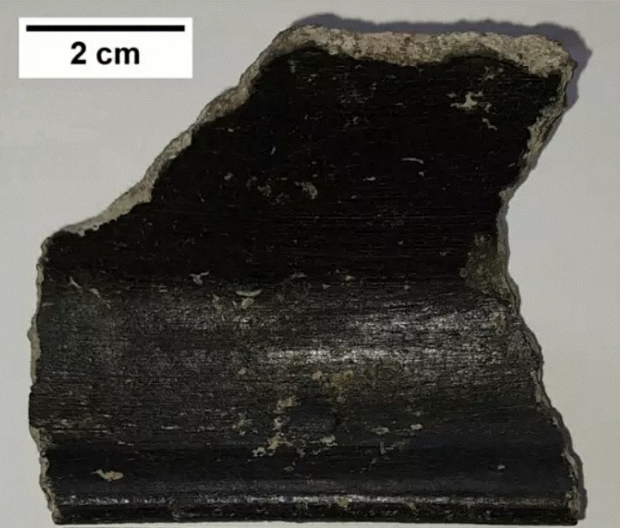 A tudósok arra számítottak, hogy a bevonat szénpép lesz, nem pedig a nanotechnológia kifinomult alkalmazásának eredménye
