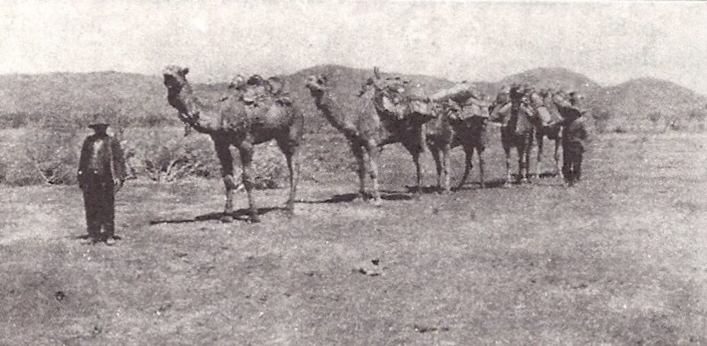Lost Lasseter’s Reef: Australia's most famous lost gold mine legend 1 The last photograph of Lasseter, taken on his departure to find his "lost" reef on September 15, 1930.