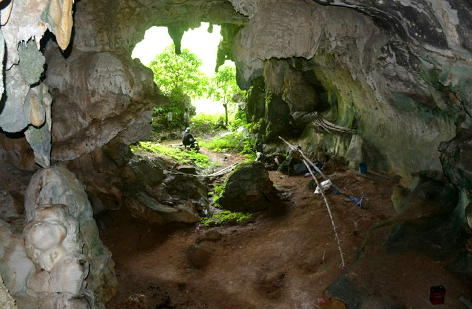 Leang Tedongnge -grottan på ön Célebe i Indonesien