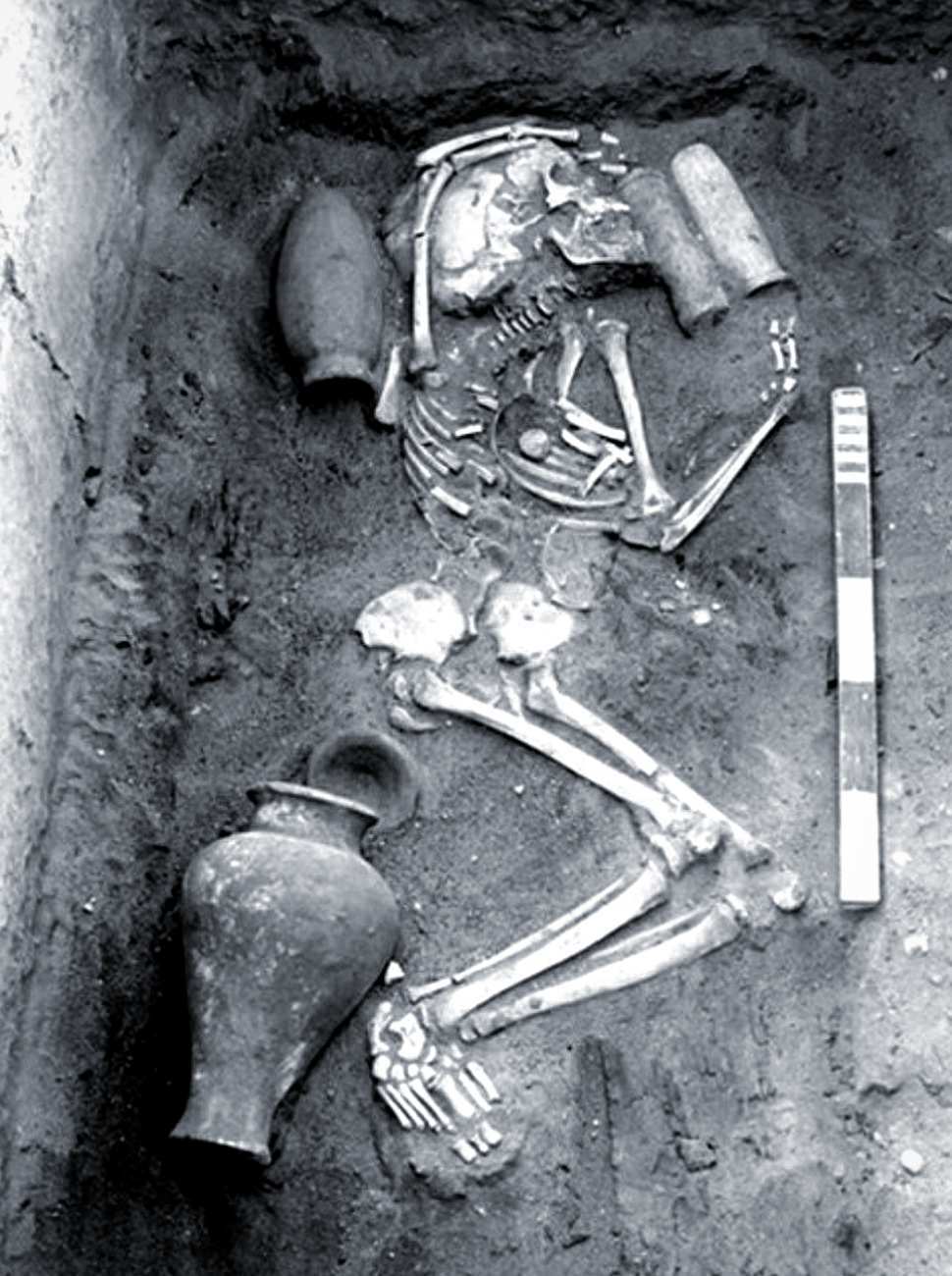 skeletet e ndjekësve të Horusit