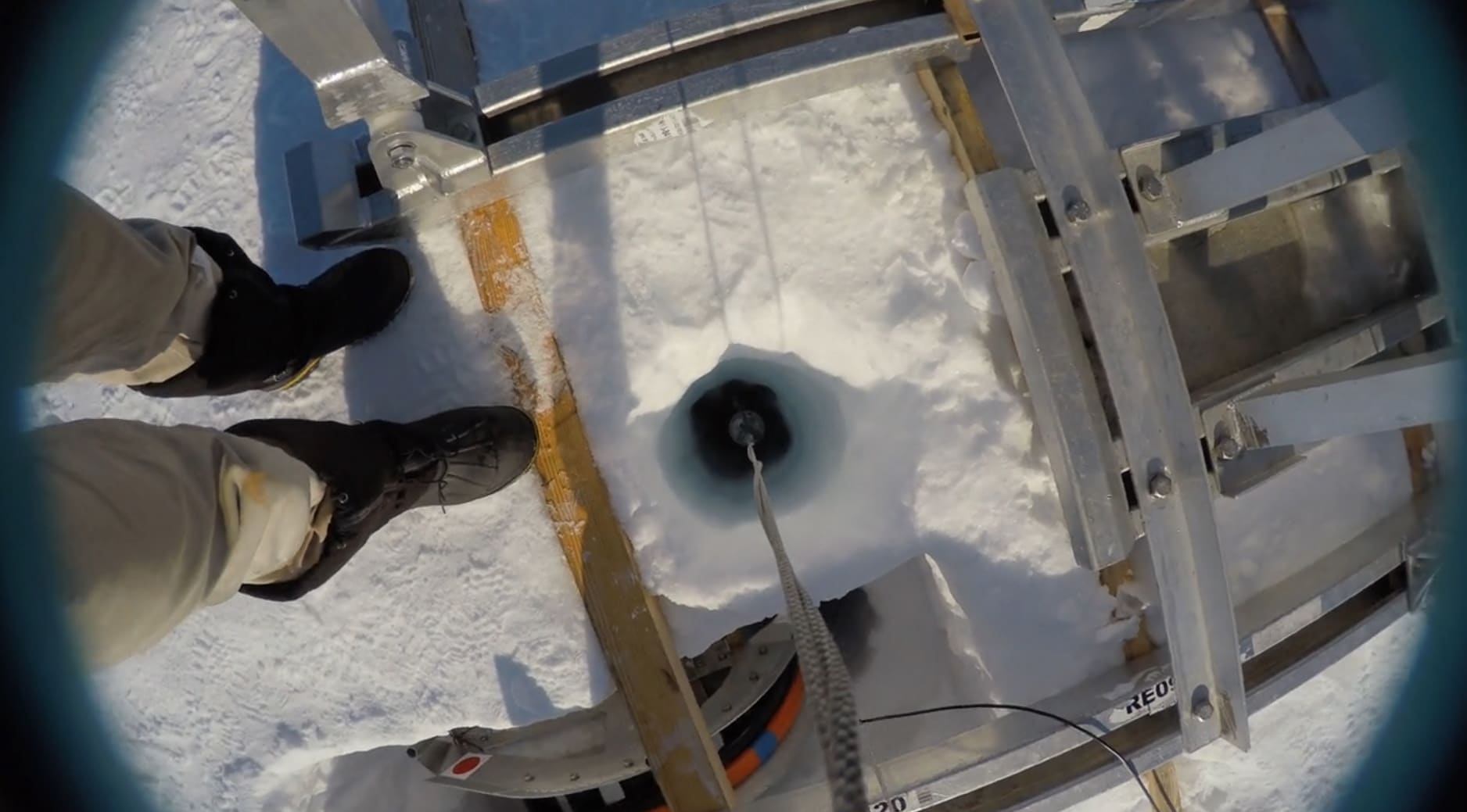 Wetenschappers vinden onverwacht dierenleven ver onder de drijvende ijsplaten van Antarctica