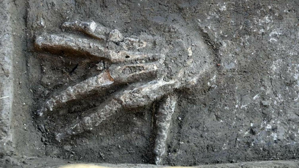 Egiptusest avastatud 3600-aastased kaevud täis hiiglaslikke käsi 5