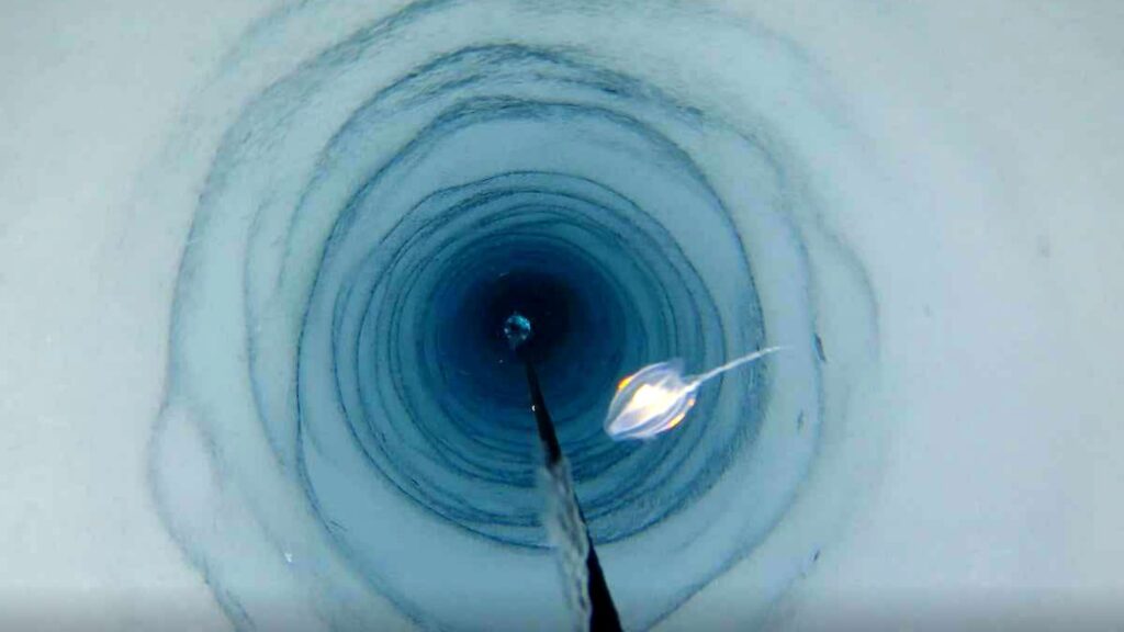 Para saintis mendapati kehidupan haiwan yang tidak dijangka jauh di bawah rak ais terapung Antartika