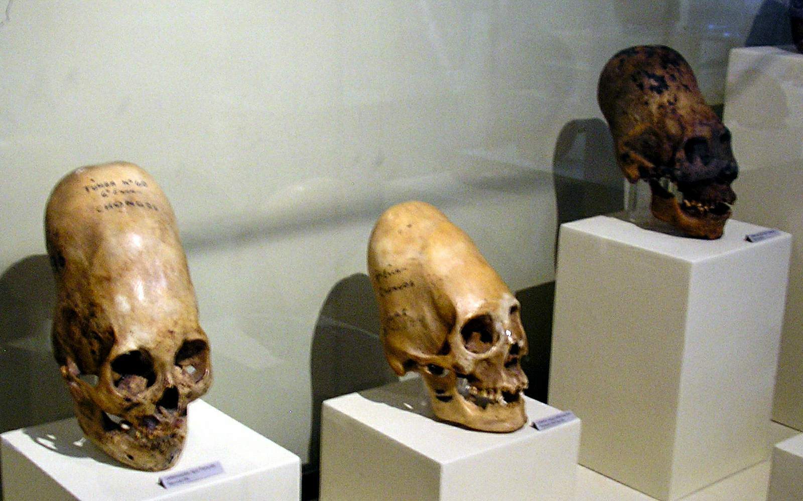 For 12,000 år siden var Kina beboet af mystiske mennesker med æggehoveder! 1