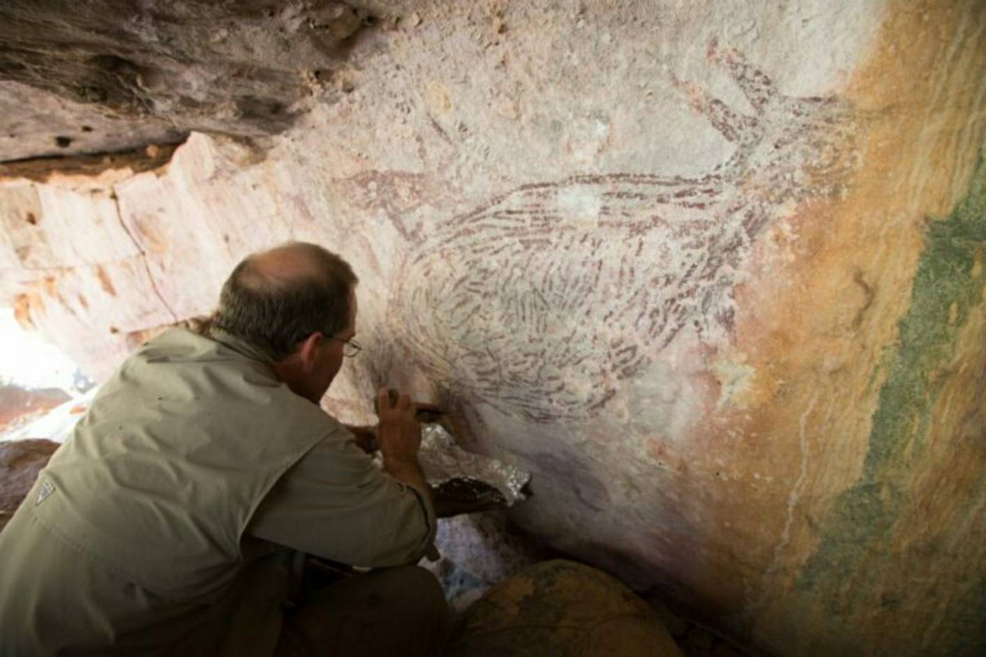 ציור קנגורו בן 17,300 שנה