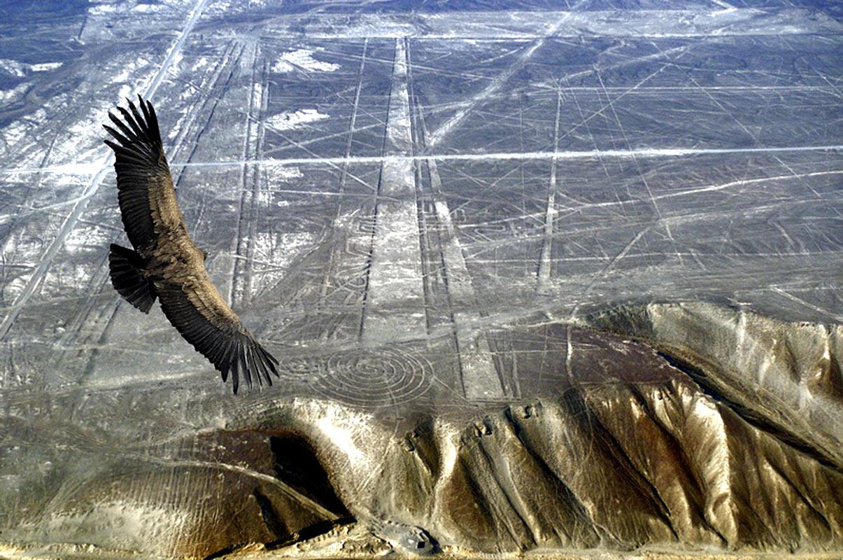Linije Nazca: starodavne vzletno-pristajalne steze "vimana"? 1