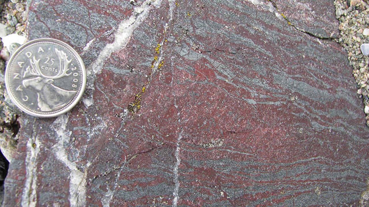 वैज्ञानिकों का कहना है कि हाल ही में हुई एक चट्टान की खोज पृथ्वी पर जीवन के इतिहास को पूरी तरह से फिर से लिख सकती है