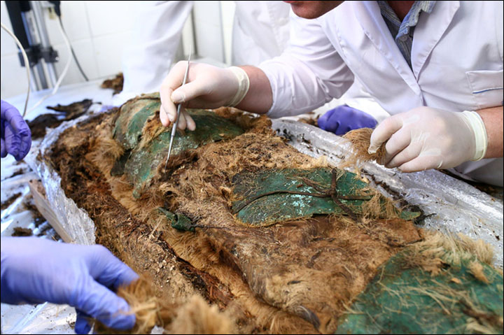 屍體的面部、胸部、腹部、腹股溝都覆蓋著銅或青銅板，並用皮繩粘合。 圖片：亞馬爾-涅涅茨地區博物館和展覽中心