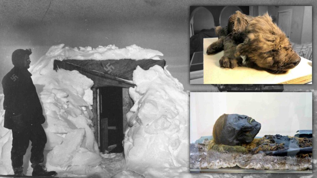 10 most mysterious discoveries made in the eternal ice of the Arctic and Antarctic 6