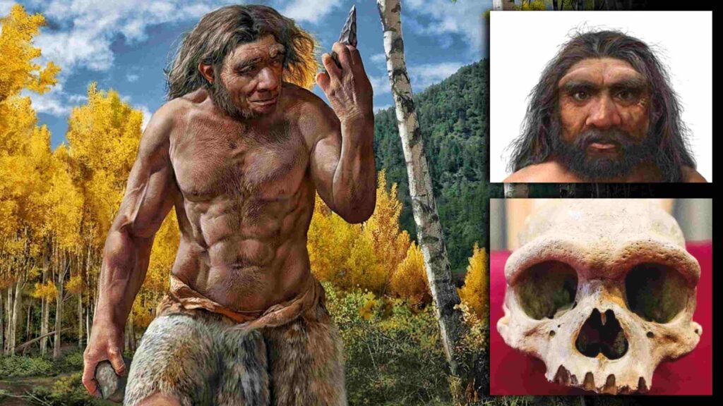 'Dragon Man' fossilen kunne erstatte neandertalere som vores nærmeste slægtning 1