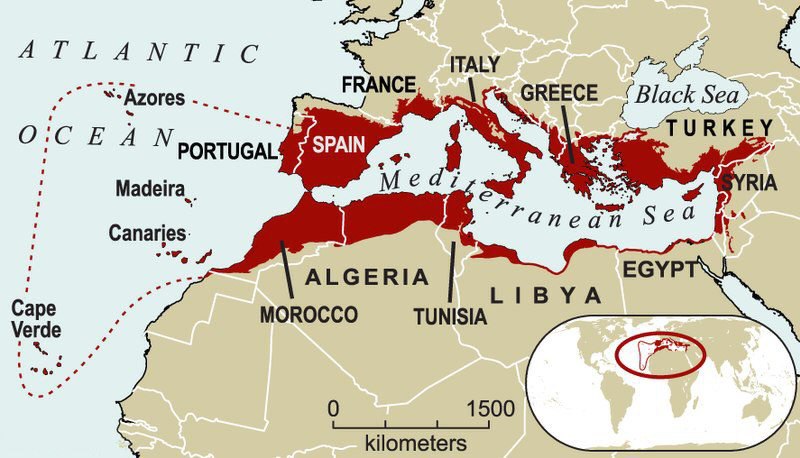 Mapa físico e político da Bacia do Mediterrâneo