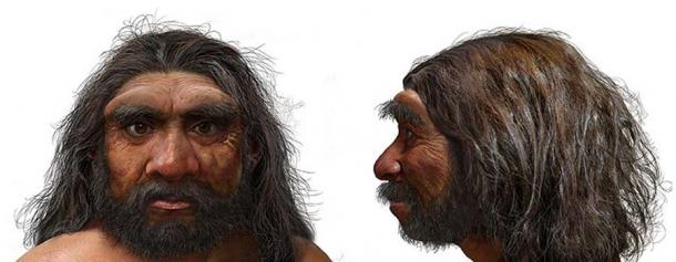 Le fossile 'Dragon Man' pourrait remplacer l'homme de Néandertal comme notre plus proche parent 1