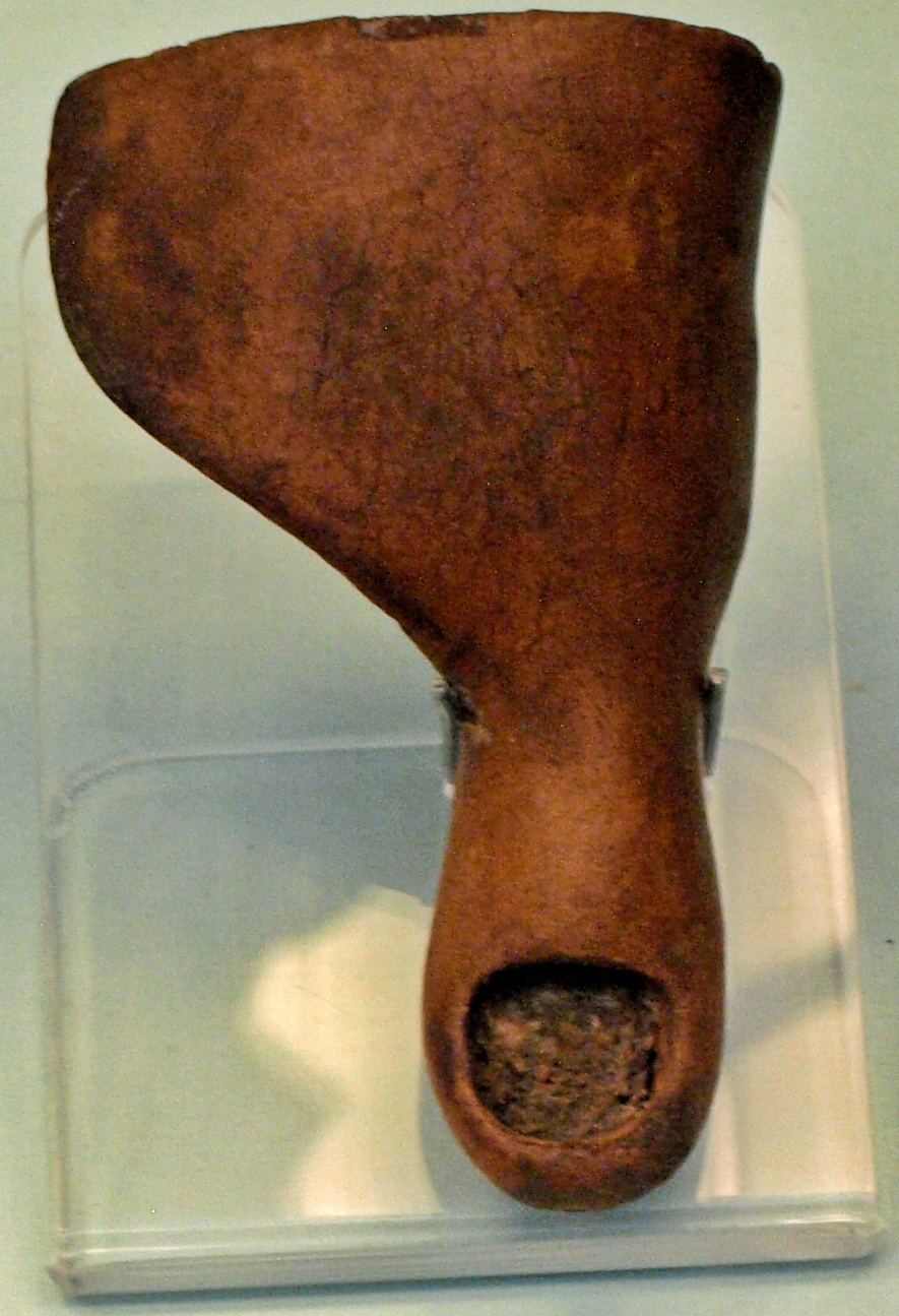 Picior protetic