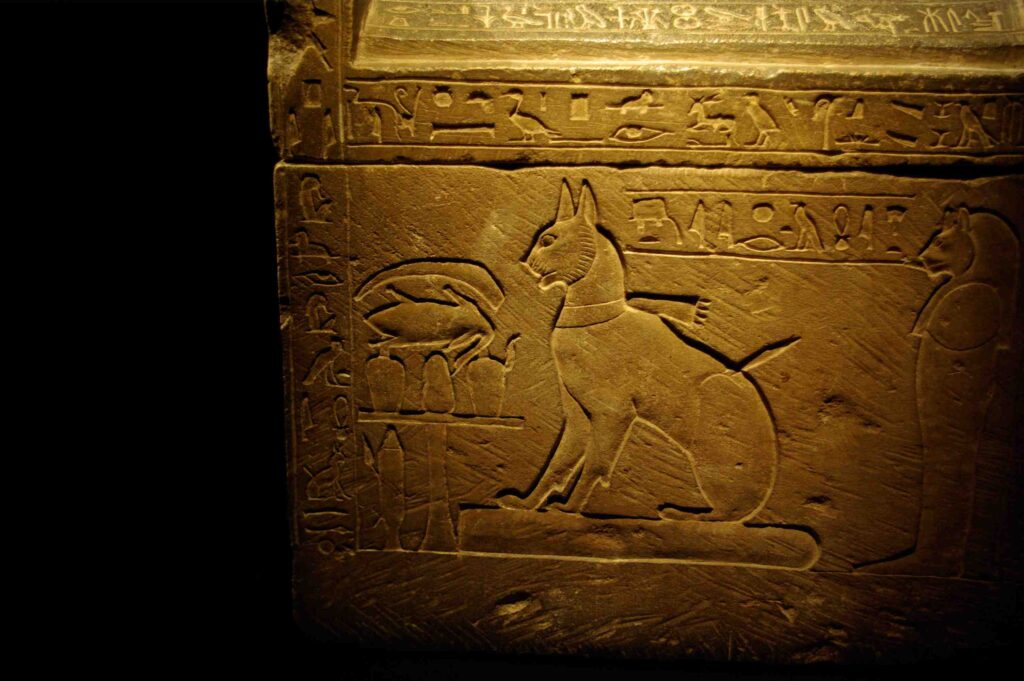 Zašto su mačke bile svete u starom Egiptu? 2